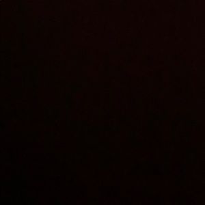 Meet your Posher, Robyn